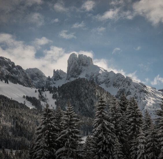 Aussicht auf das winterliche Dachstein Massiv