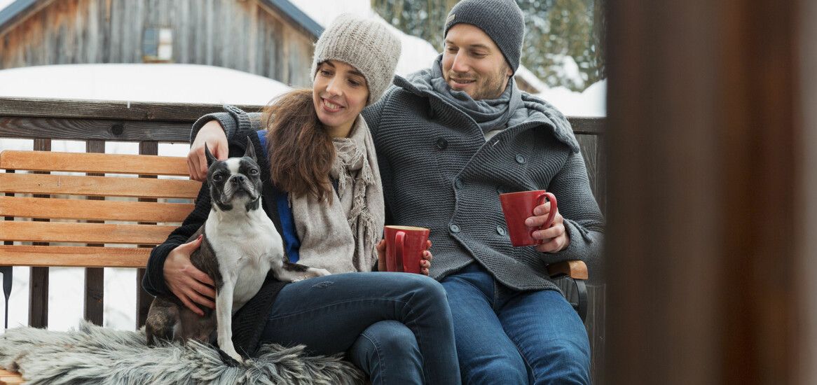 Winter mit Hund in der Luxuslodge